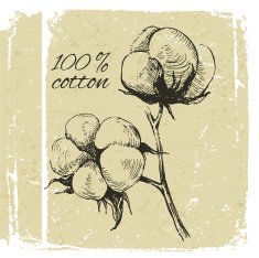 Hand drawn cotton brunch