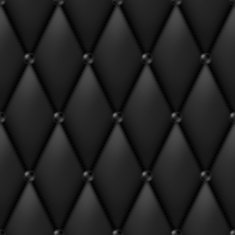 Black Luxury Leather N2