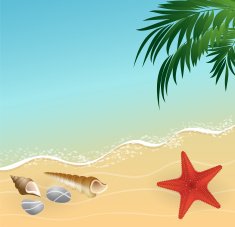 summer beach vacation concept background N2
