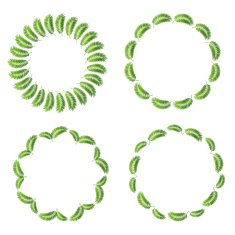 Palm Leaf Frame Set Vector Illustration
