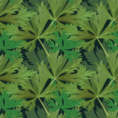 Seamless pattern with plants forest leaves background