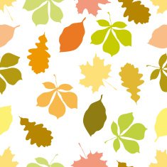 Ornament from leaves N2