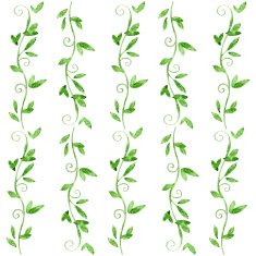 Vectorized watercolor drawing N2