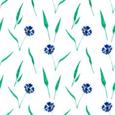 Seamless pattern with cornflowers N7