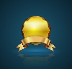 Gold badge N2