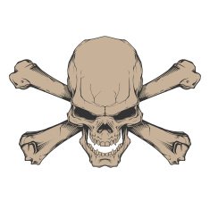 skull with two crossed bones N2
