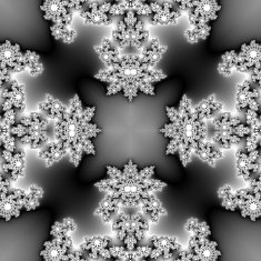 Seamless monochromatic fractal with spider texture