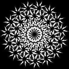 abstract black and white floral shape background N2