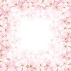 Vector background with pink apple flowers eps-10