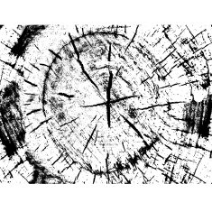 Wooden texture background Realistic plank Vector illustration N2
