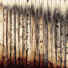 Wooden texture background Realistic plank Vector illustration N5