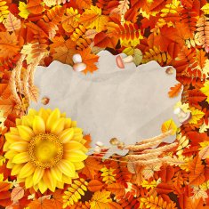 Colorful leaves background EPS 10 N20