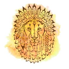 Lion in war bonnet hand drawn animal illustration N2