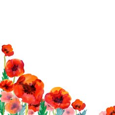 White background with watercolor poppies and copy space