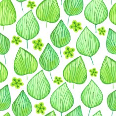 Vector Illustration with original floral background N20