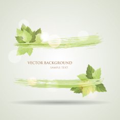 Sunny summer banner with green leaves N2