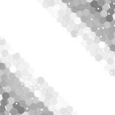 Vector abstract 3d hexagonal N21