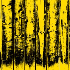 Wooden texture background Realistic plank Vector illustration N6