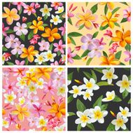 Set of Tropical Flowers Background - Vintage Seamless Pattern