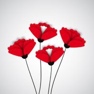 Abstract nature background Red poppy flowers