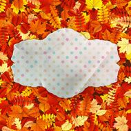 Greeting card on with copy space EPS 10 N11