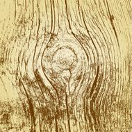 Wooden texture background Realistic plank Vector illustration N8