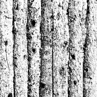 Wooden texture background Realistic plank Vector illustration N9