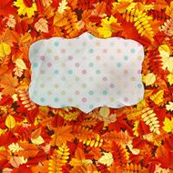 Greeting card on with copy space EPS 10 N12