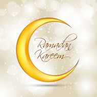 Ramadan Kareem Background Design Vector Illustration N3