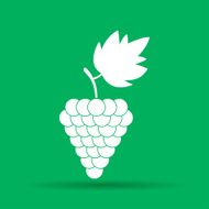 Grapes Icon N7