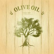 Olive tree on wood paper Olives oil Vector