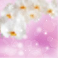 Transparent branch white orchids on a lilac background