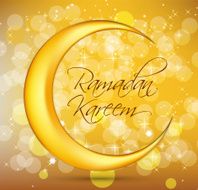 Ramadan Kareem Background Design Vector Illustration N19