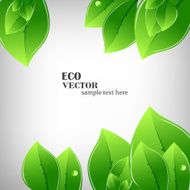 Green leaves illustration