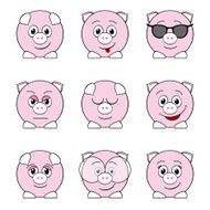funny pigs N2