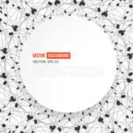Vector Social Networks