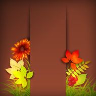 Autumn Vector Fall Leaves N4