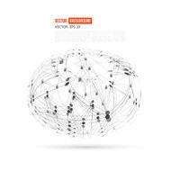 Vector Social Networks N3