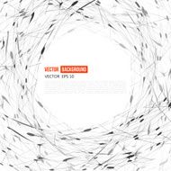 Vector Social Networks N4