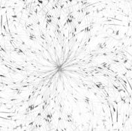 Vector Social Networks N5