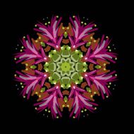 Arabesque ornament for your design N18