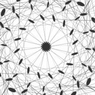 Vector Social Networks N6