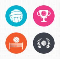 Volleyball and net icons Winner award cup N3