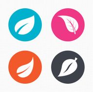 Leaf icon Fresh natural product symbols