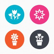 Flowers icons Bouquet of roses symbol N5