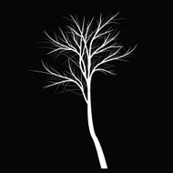 Trees with dead branch N42