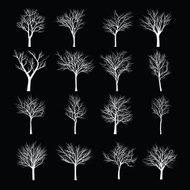 Trees with dead branch N43