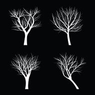 Trees with dead branch N44
