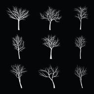 Trees with dead branch N45