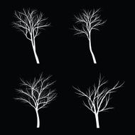 Trees with dead branch N46